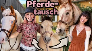 24 Stunden Pferde tauschen (aber in unfair) 🌹