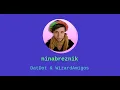Nina How to build Hypermodular Web Components without any Frameworks