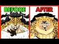 This Is How Devil Fruits Awakenings Work One Piece