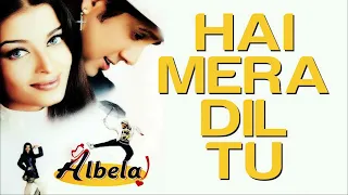 hai mera dil tu video song albela aishwarya rai u0026 govinda alka yagnik u0026 babul supriyo