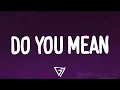 Download Lagu The Chainsmokers - Do You Mean (Lyrics) ft. Ty Dolla $ign, bülow