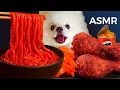 Download Lagu ASMR Mukbang | Yue si Pomeranian Makan Mie Merah dan Ayam Goreng Renyah