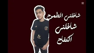 ده مش مجهود ده توفيق ربنا                                    دندنها