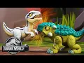 Lagu A Hatchlings Adventure | Jurassic World | Kids Action Show | Dinosaur Cartoons