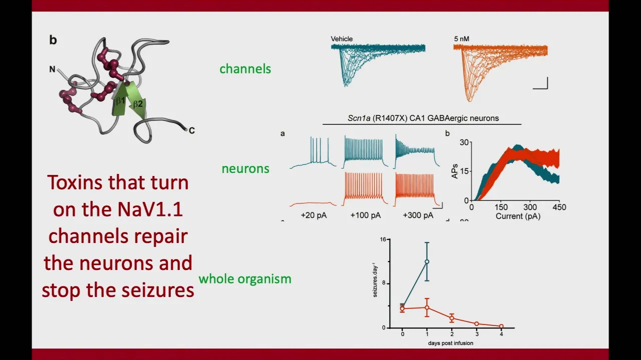The Importance of Disease Mechanism in Therapy: Lessons from SCN1A
