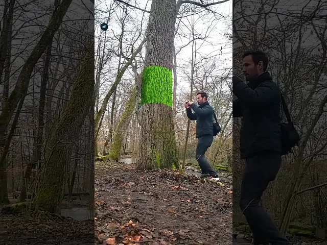 Tree trunk trash can with swing lid “Alnus Glutinosa” video thumbnail