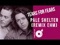 Download Lagu TEARS FOR FEARS - Pale Shelter (ReMix EHM)