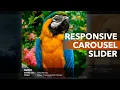 HOW TO MAKE RESPONSIVE CAROUSEL SLIDER jQuery and Owl Carousel