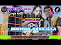 Lagu DJ CEK SOUND FULL BASS TERBARU 2025 BENCANA X BUNGA DESA DANGDUT NROTOK ANDALAN KRNAVAL BREWOG HOREG