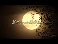 Shivaree - Goodnight Moon Lyrics
