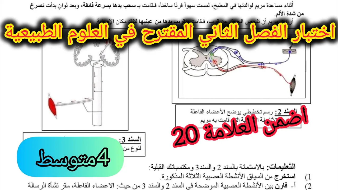 اختبار الفصل الثاني في مادة العلوم الطبيعية السنة الرابعة متوسط/اقوى مقترح لاختبار الفصل 2 #bem2026