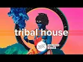 Download Lagu Stan Kolev | Tribal House \u0026 Deep Techno Mix – June 2020 (#HumanMusic)