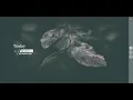 Make Animation Background Using Html CSS and JavaScript