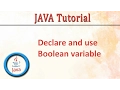 Java Declare and use Boolean variable Program