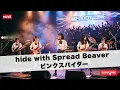 ピンクスパイダー / hide with Spread Beaver【空へ憧れた蜘蛛の物語 ガールズバンド｜AIカバー】