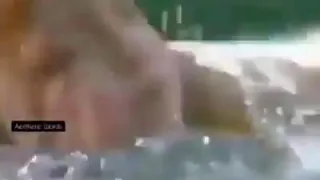 في كلاب اوفي من بني ادمين 