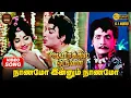 Lagu Naanamo Innum Naanamo | HD Video Song 5.1 | MGR | Jayalalitha | TMS | P Susheela | MSV | Kannadasan