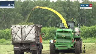 Неустойчивая погода в регионе может сказаться на количестве и качестве урожая