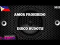 Lagu Amor Prohibido / Disco Budots Remix / Viral Tiktok