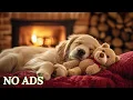 Download Lagu 10 Hours of Dog Calming Music 🐶 Anti-Separation Anxiety Relief Music | Deep Sleep \u0026 Calm 💖 No Ads