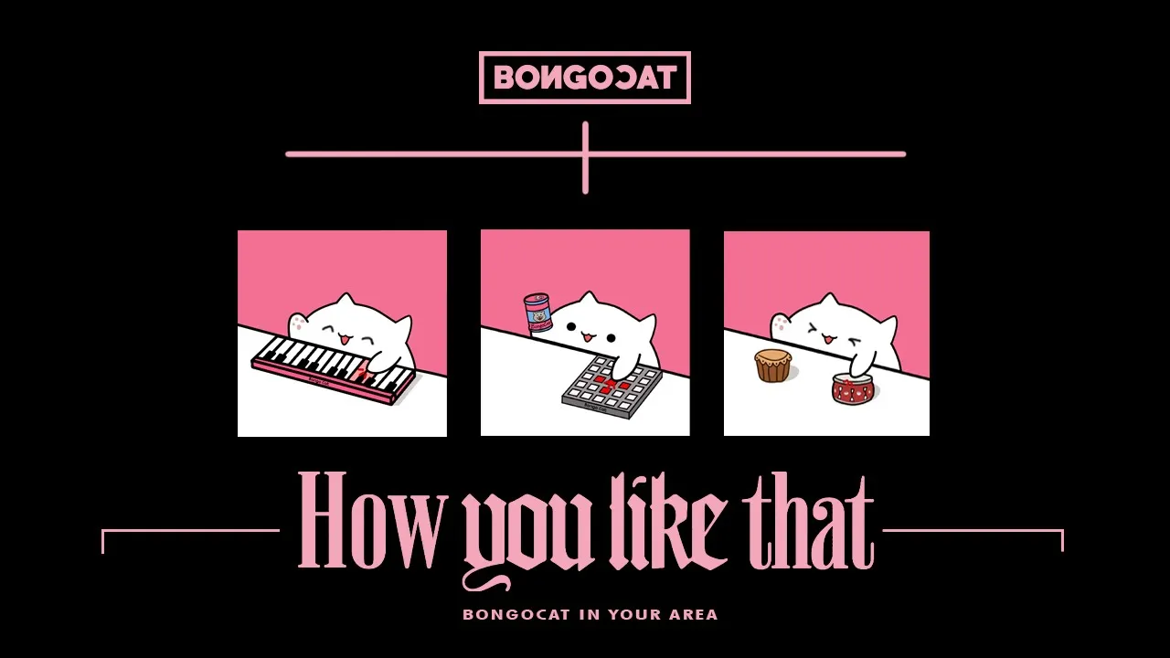 Bongo Cat - 'How You Like That' BLACKPINK 🎧