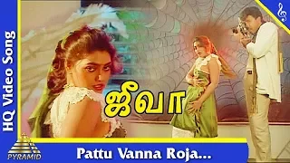 pattu vanna roja video song jeeva tamil movie songs sathyaraj silk smitha pyramid music
