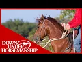 Clinton Anderson Figuring Out the Cause of a Horse s Head Tossing Issue - Downunder Horsemanship