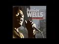 Junior Wells - Best Of The Vanguard Years - 17 - Shotgun Blues