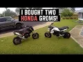 I Bought 2 Honda Groms Used on Craigslist 2015 vs 2017 How Much did I Pay