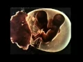 Video di Sisters (1973) - Trailer