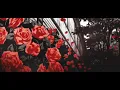 Drew Baldridge - She's Somebody's Daughter (Slowed & Reverbed) [The Wedding Version]