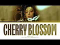 BOBBY Cherry Blossom Lyrics (바비 벚꽃 가사) (Color Coded Lyrics)