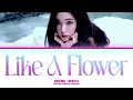 Download Lagu IRENE (아이린) 'Like A Flower' (Color Coded Lyrics)