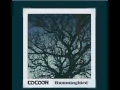 Cocoon Hummingbird Lyrics