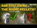 Are You Using the Right Pellets Everything You Need to Know