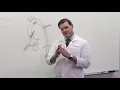 What is Thoracic Aortic Aneurysm Disease
