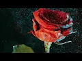 Martin Garrix & David Guetta - So Far Away (feat. Jamie Scott & Romy Dya)  (Osrin Remix)