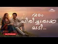 Valam Pirichu Churul Mudi Cover | Old Malayalam Romantic Song | Doordarshan Hits Recreation