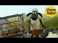 Lagu 🐑❤️ Farm Friends Having Fun Together 🐑 Shaun the Sheep 🐑  🐑 Full Episodes Compilation [1 hour]