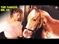 The Strange History of Mr Ed the Talking Horse