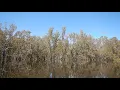 Murray River Paddle 2016 Day 25 Yungera Station to Invincible Bend Nov 9 flooded Black Box