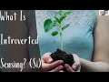 Download Lagu What Is Introverted Sensing (Si)? | Cognitive Functions | CS Joseph