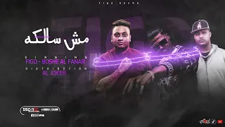 اغنيه مش سالكة               فيجو   بوشي    توزيع   الجوكر دندنها
