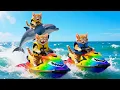 Download Lagu Mama Cat Trims Fur on the Farmand Makes Tiger Hat For Kittens At Home🐾🎩🐯