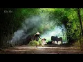 Download Lagu Gợi nhớ quê hương [ nhạc không lời]