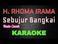 Download Lagu H. Rhoma Irama - Sebujur Bangkai [Karaoke] NADA CEWEK | LMusical