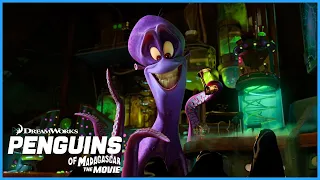 Introducing Dave!🐙 | DreamWorks Madagascar