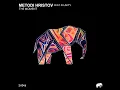 Traffic - Metodi Hristov