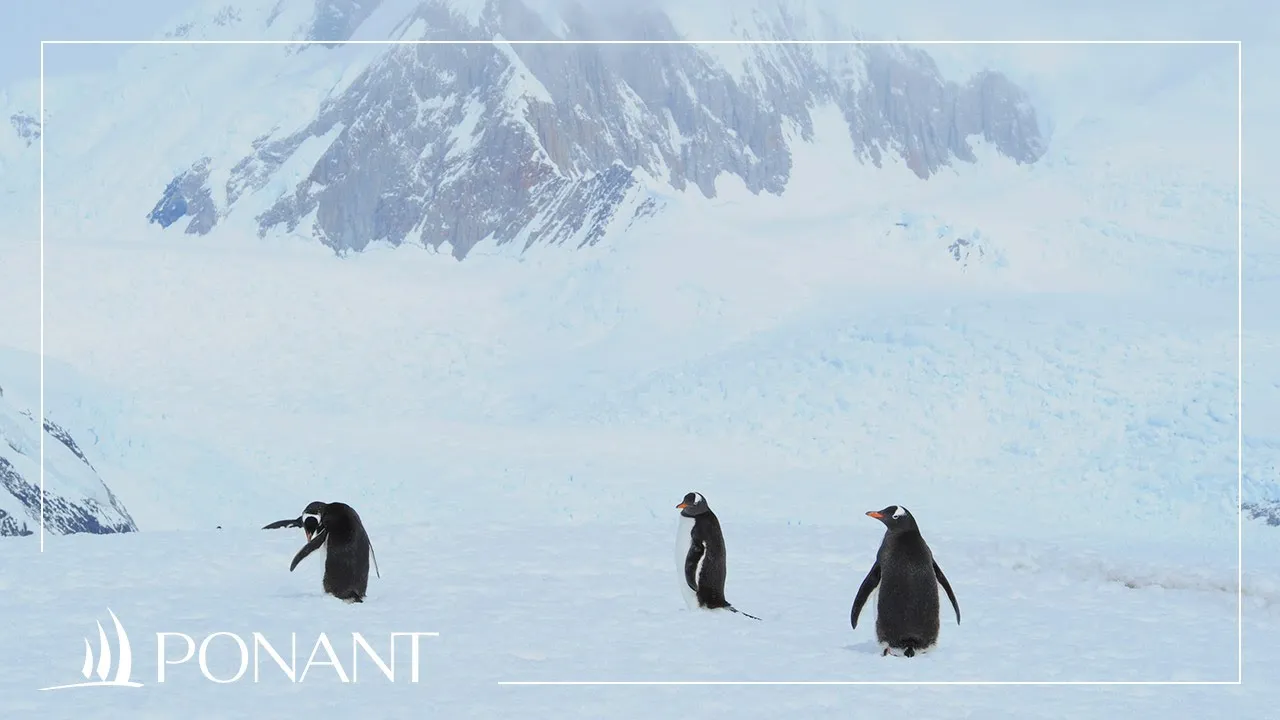 PONANT EXPLORATIONS GROUP — PONANT — Luxury in the Most Remote of Places (YouTube video ad)