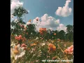 our memories remained - Everfield